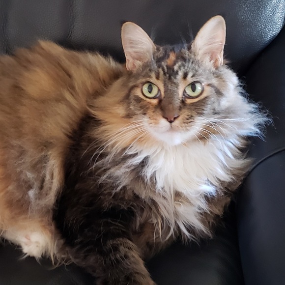 Meet the Posher! - Picture 6 of 9